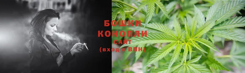 Конопля THC 21%  цены наркотик  Ковдор 